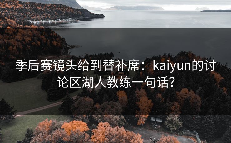 季后赛镜头给到替补席：kaiyun的讨论区湖人教练一句话？