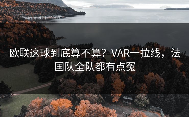 欧联这球到底算不算？VAR一拉线，法国队全队都有点冤