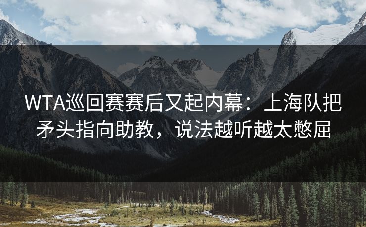 WTA巡回赛赛后又起内幕：上海队把矛头指向助教，说法越听越太憋屈